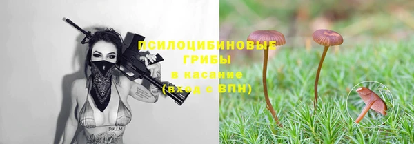 мескалин Нефтекумск
