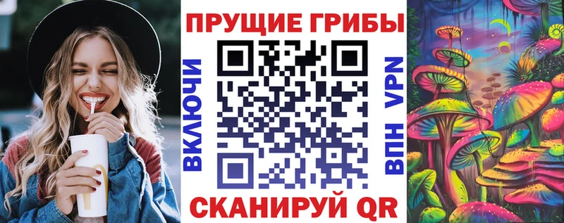 hydra наркотики Эртиль Псилоцибиновые грибы MAGIC MUSHROOMS